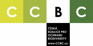 CCBC - Život v oceánech - mořské želvy
